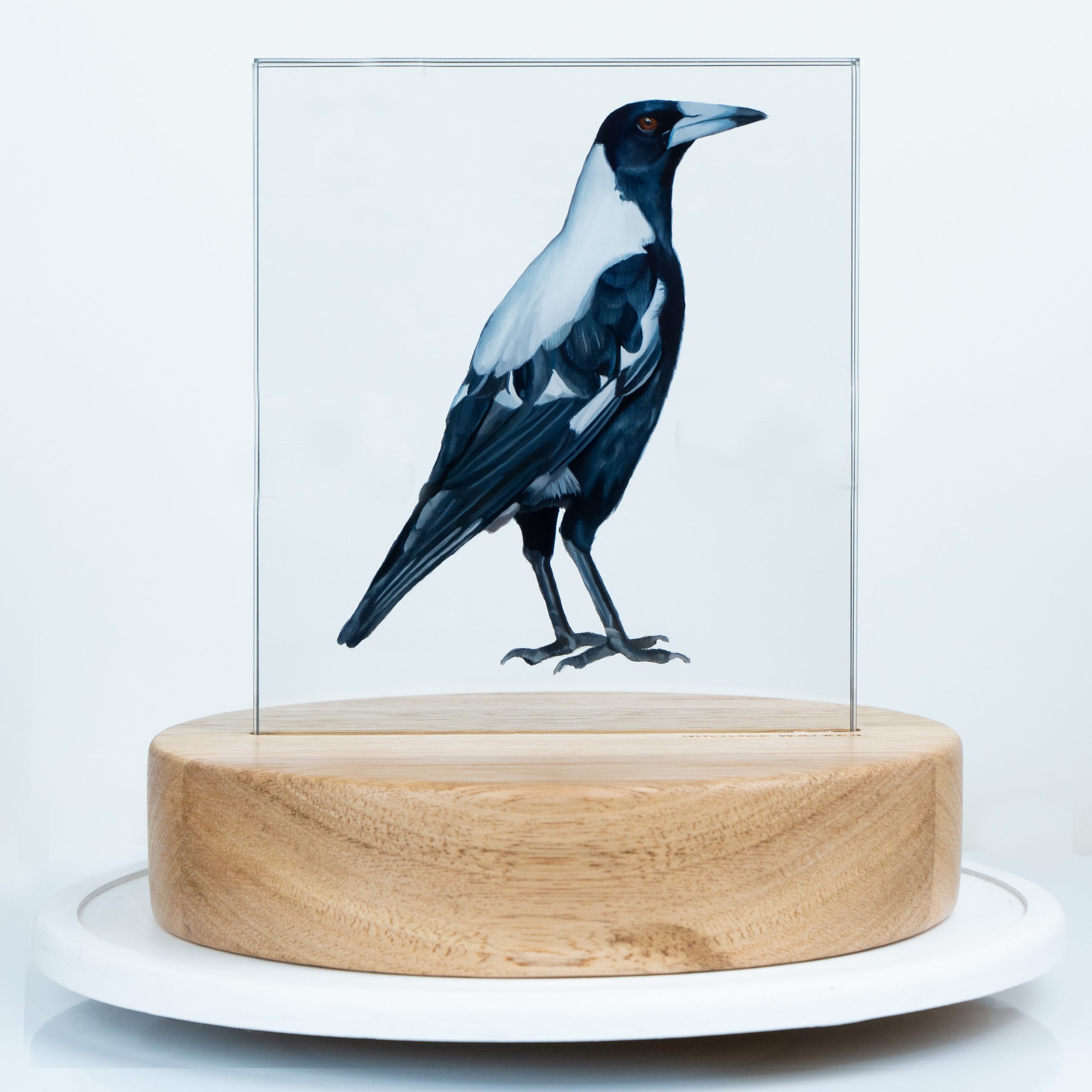 Magpie painted on oil in reverse on 4mm super clear glass