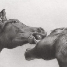 Brooke-Walker_006_Horseplay_Competition