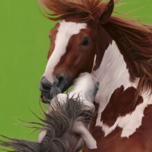 Hijinx_Detail Detail of Hijinx