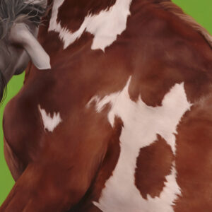 Detail of Hijinx