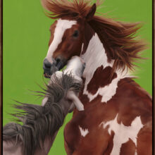 Hijinx Framed Hijinx Framed in Walnut stained Tasmanian Oak