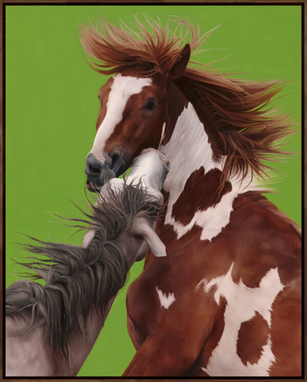 Hijinx Framed Hijinx Framed in Walnut stained Tasmanian Oak