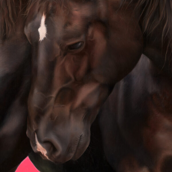 Lovers Bonds they hold so fast_Detail